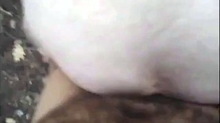 Bareback Fuck in the Woods with a Manly Bear