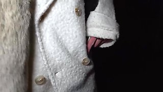 flashed her tits for cash and got a creampie for free