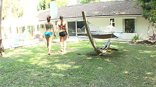 Pretty babes pleasuring each other