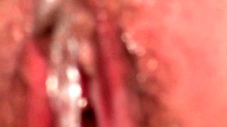 Small tit brunette gives a nice hard blowjob and fuck