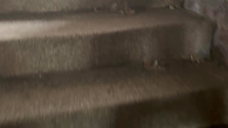 Pissing in the Underpass to the Bus Stop