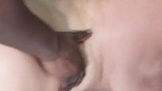 GILF Fucked Anal by BBC