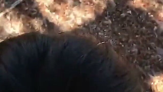 Fuck My Chinese Girlfriend in the Mountain Then in the Bedroom