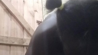 Kenyan Big Ass girl shaving and masturbating