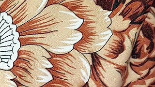 French Kiss and Barely Intercourse Sex by Tiny Penis