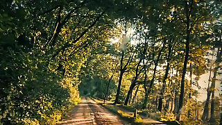 and cum to this clip