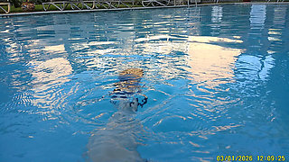Big Beauty Nurse Vicki Shows off Her Water Shoes and