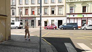 Emma White - Brown Sheer Top