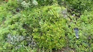 Hot Blonde Sucks Cock in Beachside Car Fuck