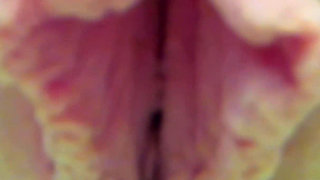 Hollis Ireland - Underwater Pink Shots