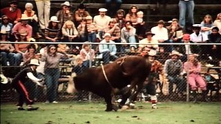 Sexy babe in vintage dress cleans cock off