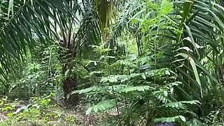 Ibu Tiri Dan Anak Tiri Ngewe Di Kebun Sawit Part2