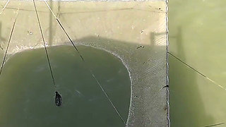 BBW Fisherwoman, Catches & Carries Her Skinny Man - Lift&carry, Bondage, Sex