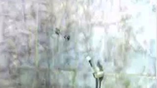 BBW Indian Girl's Shower Webcam Show