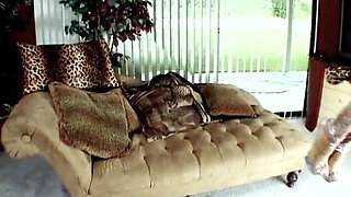 Dude has his own ebony doll wrapped in cellophane ready to use for a fuck session