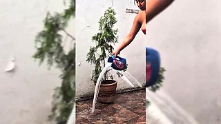 American step cousin cleaner fucks me hard in Miami house - Pikaa6 teen anal and moaning