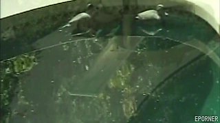 Gee Your Black Ass Stretches - Ebony babe ass fucked outdoors by the pool