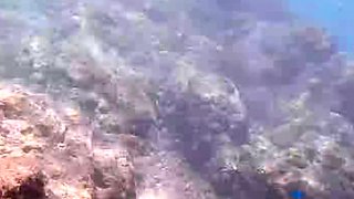 Gabbie Carter In Hawaii