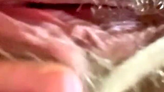 Cspot Sneak Peek of Dripping Hairy Pussy From Below